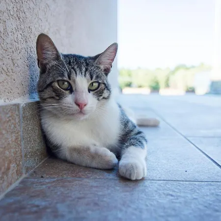 別荘 Luxury Casello 28 Affitti Brevi