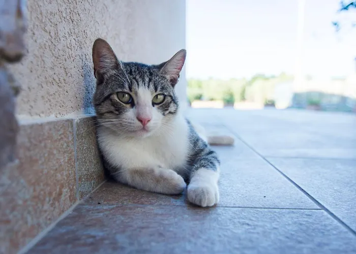 Holiday home Luxury Casello 28 Affitti Brevi