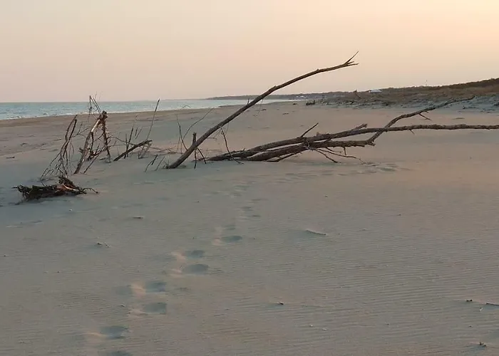 Luxury Casello 28 Affitti Brevi *